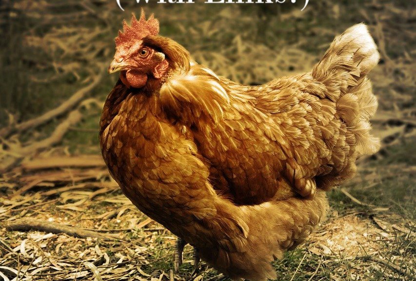 50 Homesteading Skills and Tips