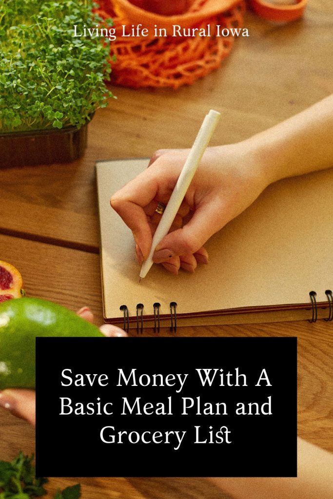 Save Money With A Basic Meal Plan and Grocery List