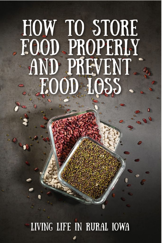 How to Store Food Properly and Prevent Food Loss